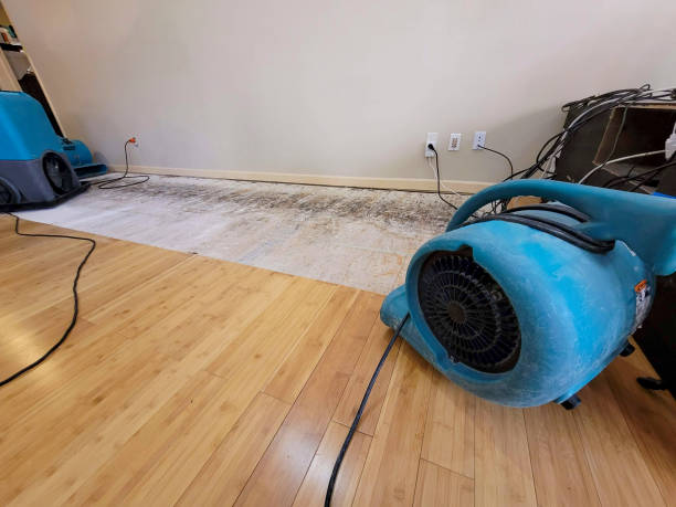 Reliable Crawl Space Water Removal contractor in Lillington, NC by Hirex Water Damage