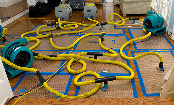 Professional Crawl Space Water Removal technician working in Lillington, NC